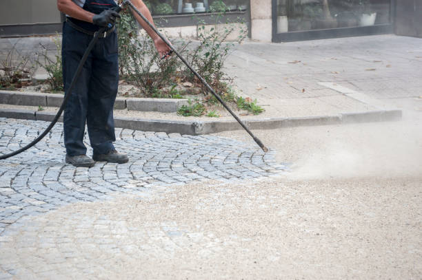 Best Pre-Holiday Cleaning  in Altoona, PA